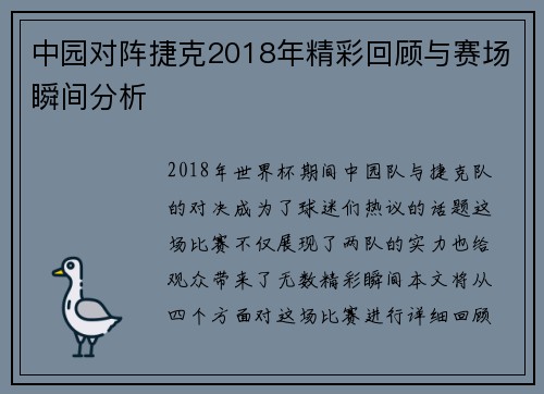 中园对阵捷克2018年精彩回顾与赛场瞬间分析