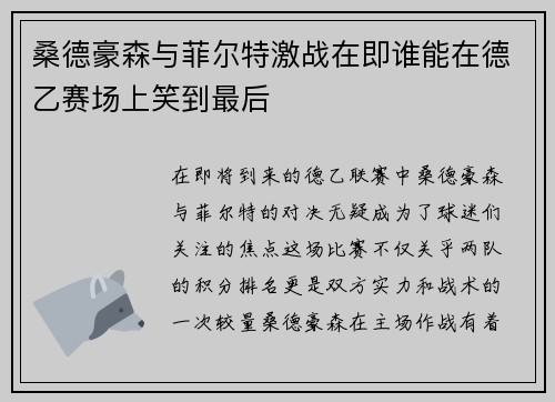 桑德豪森与菲尔特激战在即谁能在德乙赛场上笑到最后