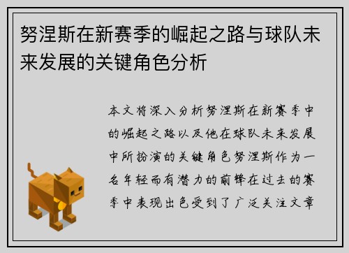努涅斯在新赛季的崛起之路与球队未来发展的关键角色分析